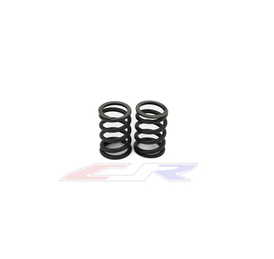 CJR High RPM Valve Spring Kit CRF110