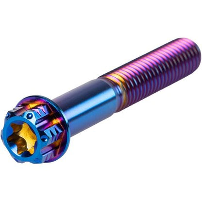 Titanium Bolts M6 M8 Burnt Blue